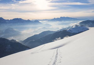 申请人（个人）与发明人或设计人可否为不同的人？